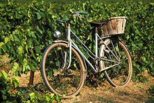 La Maison Grenadine Pres Du Canal Du Midi Tourouzelle エクステリア 写真